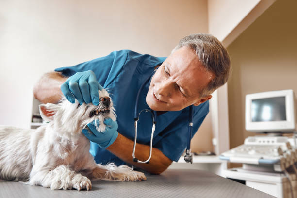Best Broken Tooth Emergency  in Rockford, IL